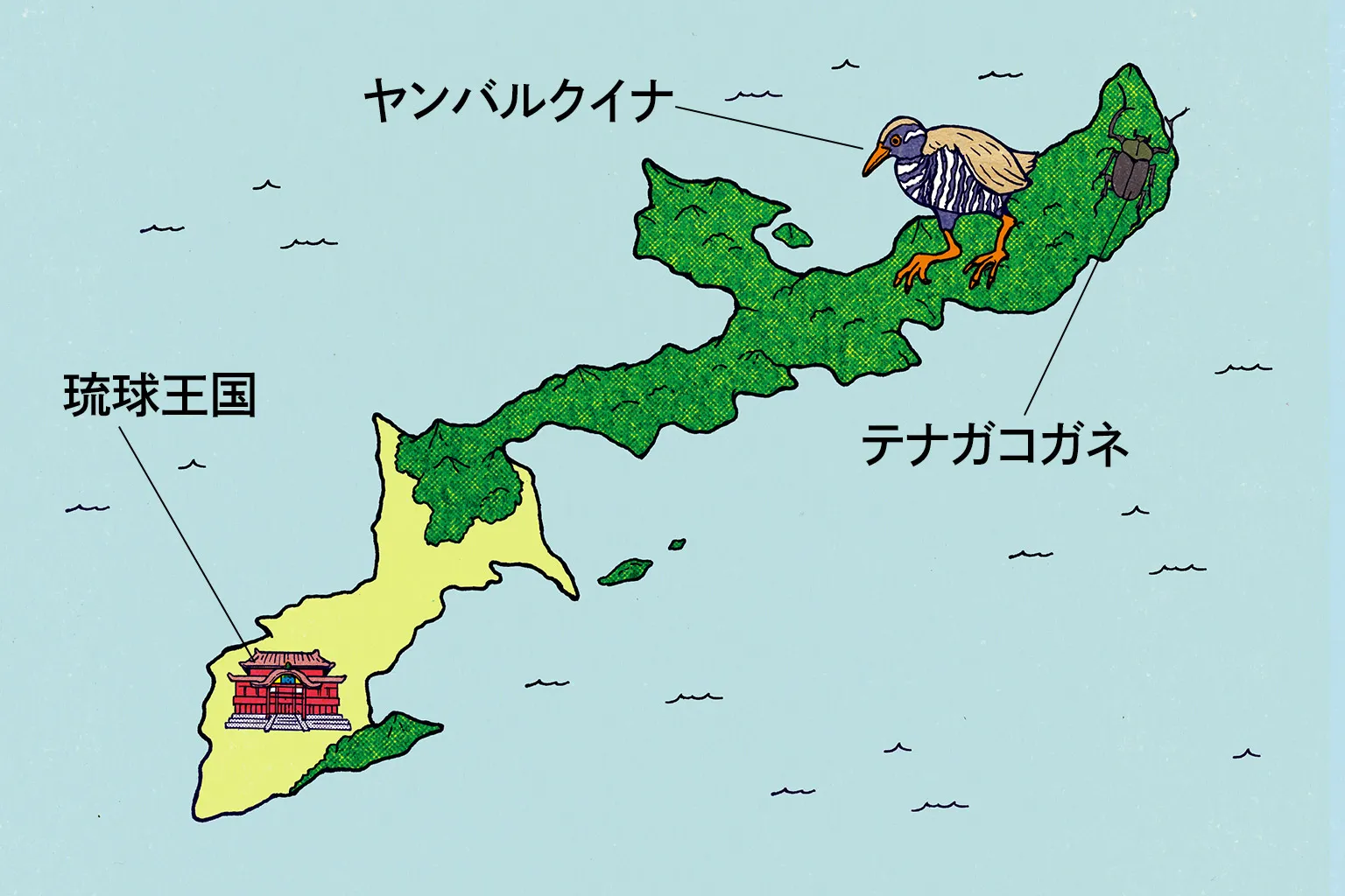 奄美・沖縄|日本の世界自然遺産 奄美・沖縄|日本の世界自然遺産