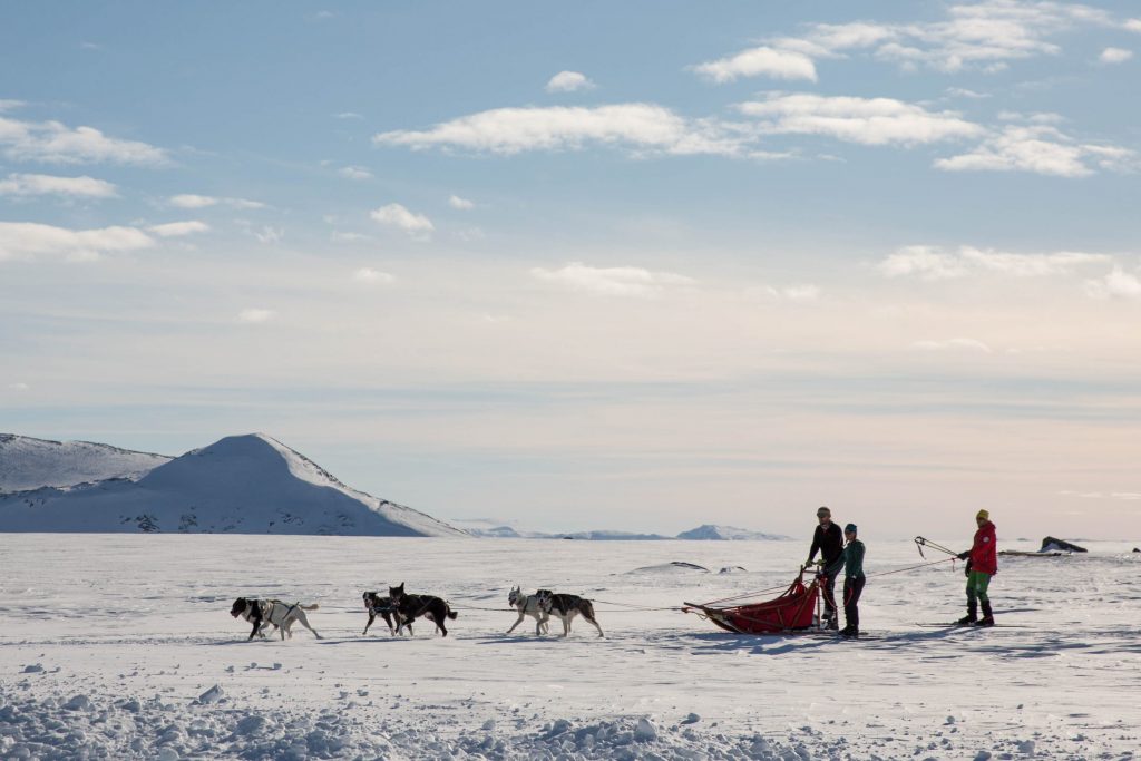 Snowhere Dogsledding – Jotunheimen Travel © Kjell Erik Reinhardtsen