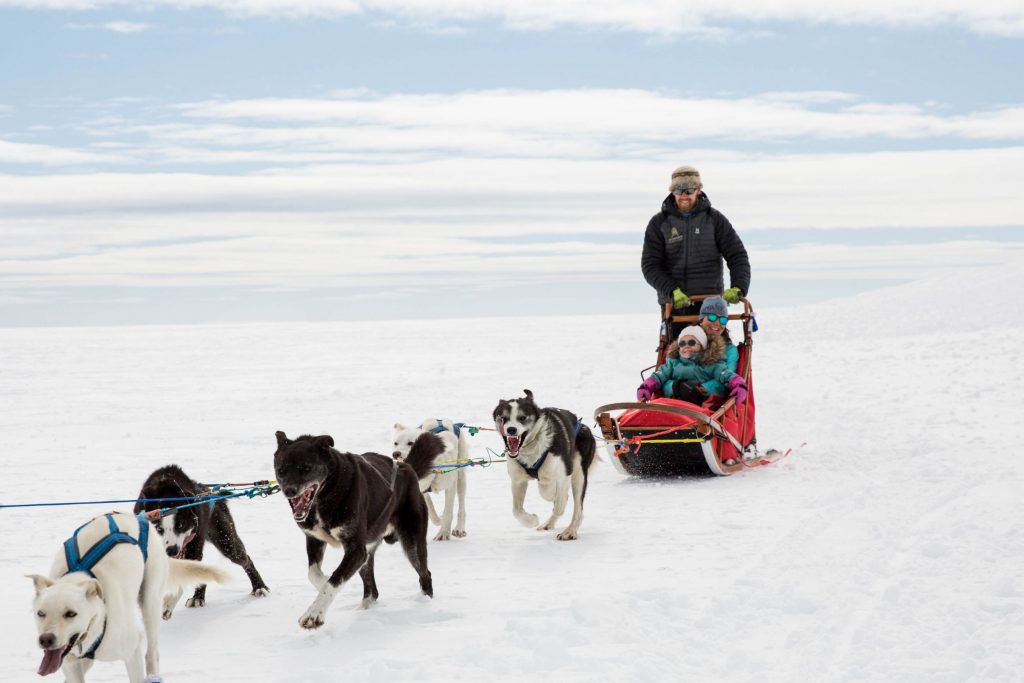 Snowhere Dogsledding – Jotunheimen Travel © Kjell Erik Reinhardtsen