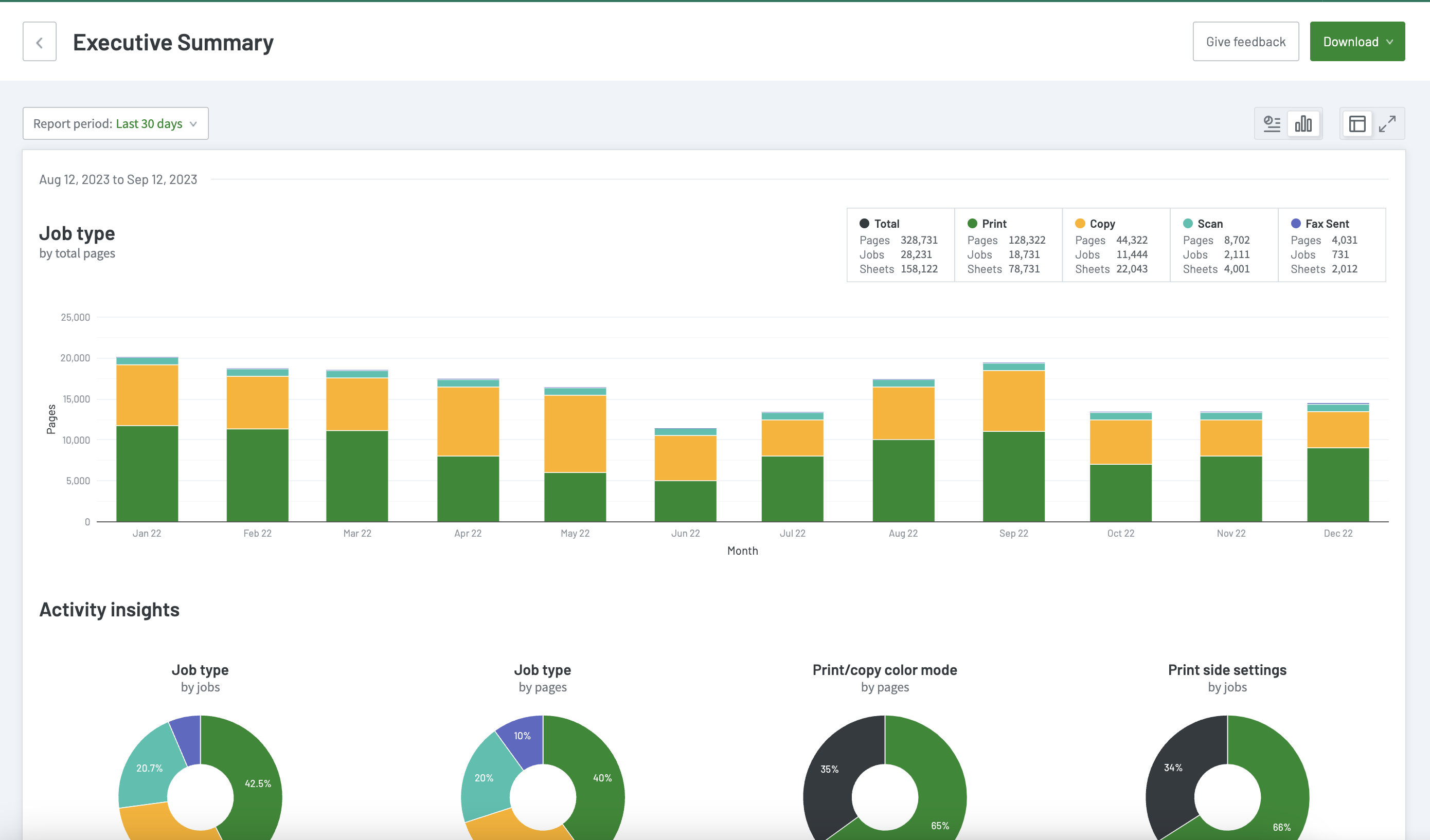 Sample preview of Executive Summary Report