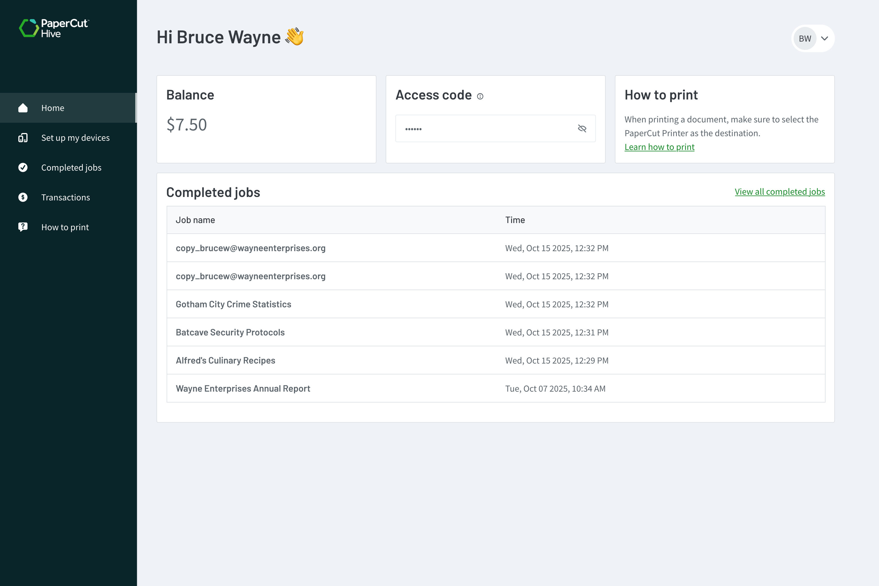 PaperCut Hive User Portal home page.