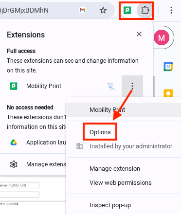 Chrome web browser showing the extension icon in the toolbar, and the resulting menu when right clicking on the extension