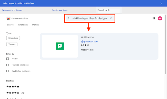 screenshot of the Google extension web store