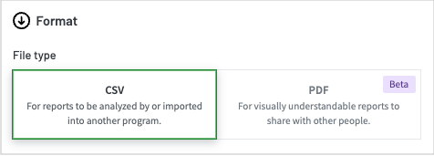 Screenshot of the two Format section showing tabs for the two report types, CSV and PDF