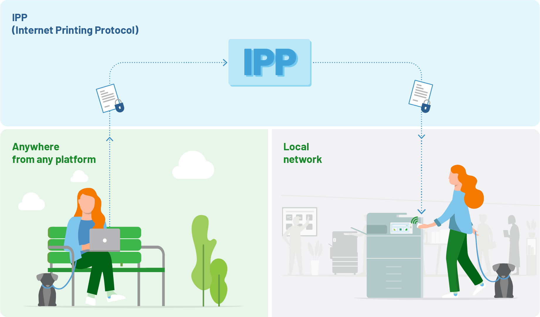 Get a secure Brazilian IP address from anywhere