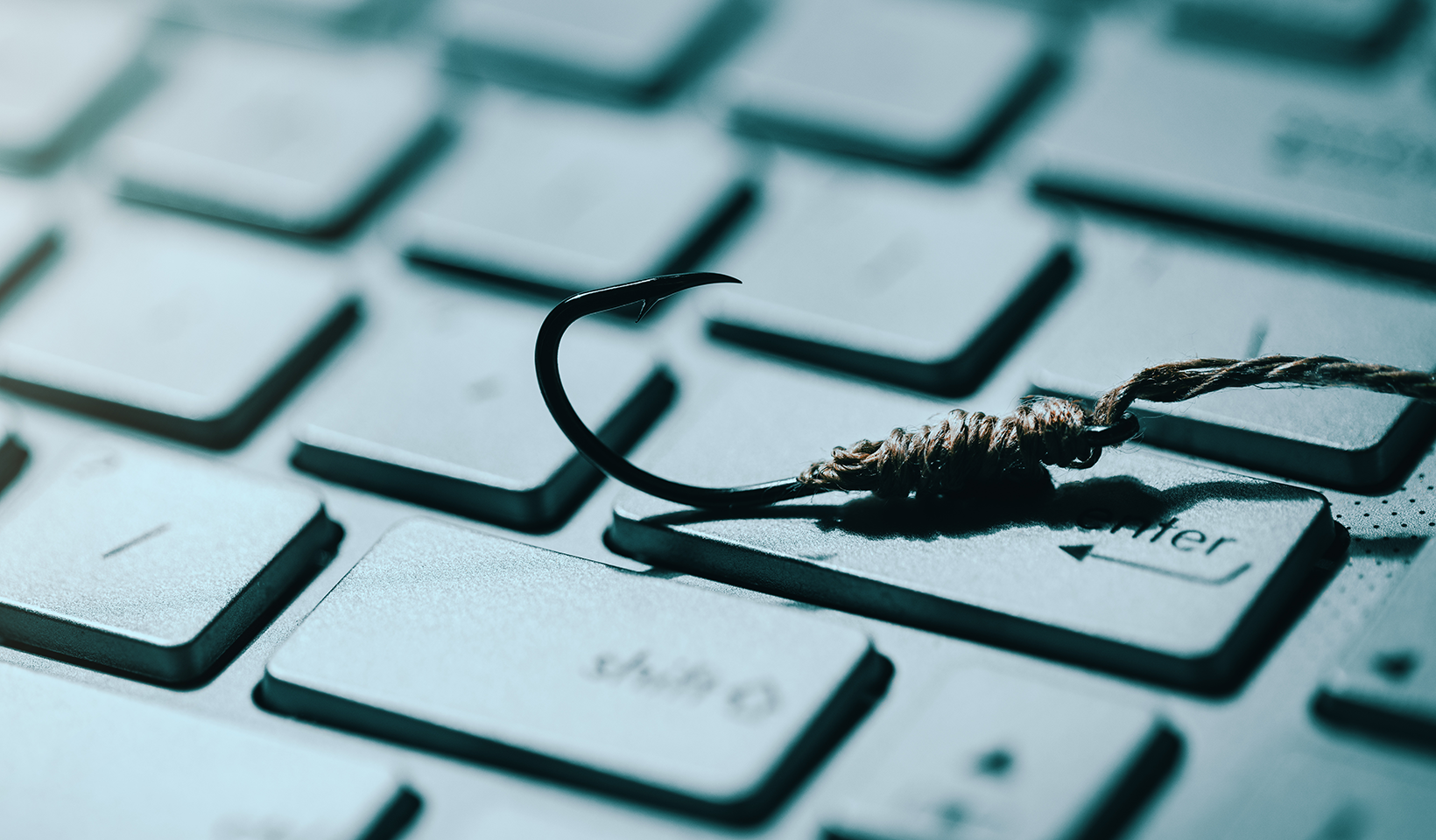 The Plunge | What is phishing?