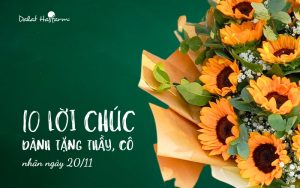 Lời chúc ý nghĩa cho ngày 20/11