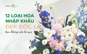 12 Loại hoa nhập khẩu đẹp, độc, lạ