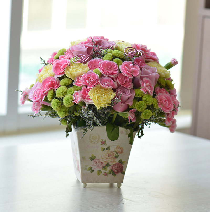 Mẫu hoa cẩm chướng dành tặng mẹ nhân dịp Ngày của Mẹ Mother's Day