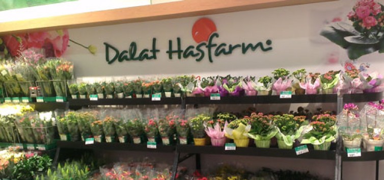 hoa tươi dalat hasfarm ở bình dương(1)