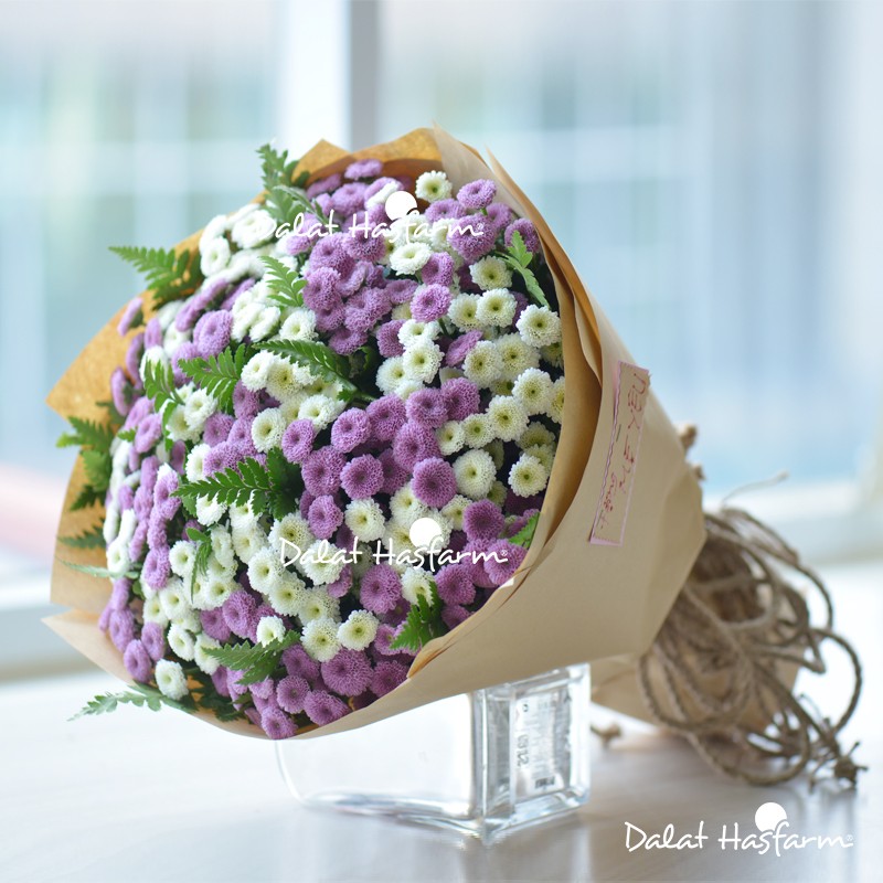 Bó hoa Calimero trắng xen tím là món quà giản dị dành tặng Vợ