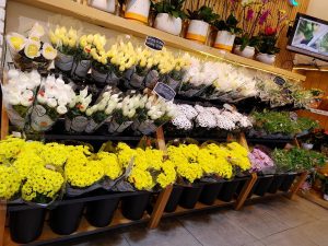 Cửa hàng hoa tươi Đà Lạt - Dalat Hasfarm