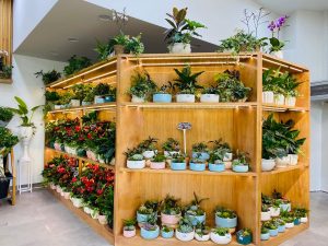 Cửa hàng hoa tươi Đà Lạt - Dalat Hasfarm