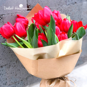 Bó hoa Tulip tình yêu - Shop hoa Gò Vấp Dalat Hasfarm