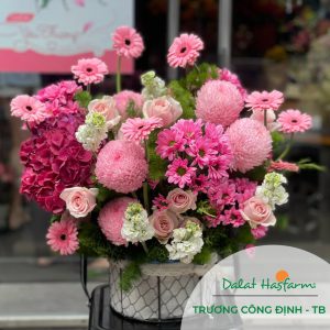 Đặt hoa tại Bình Tân- Shop hoa Dalat Hasfarm