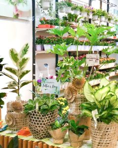 Cây xanh Shop hoa tươi Bình Dương - Dalat Hasfarm