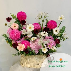 Đặt hoa tươi ở shop hoa tươi Dalat Hasfarm Bình Dương