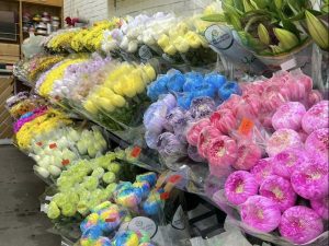 Hoa cúc Dalat Hasfarm - Shop hoa Bình Dương