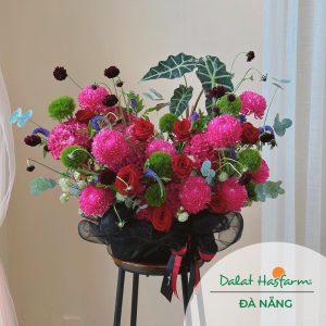 Hoa tặng chúc mừng - Shop hoa Đà Nẵng Dalat Hasfarm