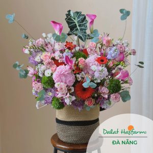 Mẫu hoa tặng chúc mừng đẹp - Shop hoa Đà Nẵng Dalat Hasfarm