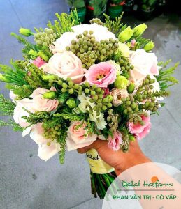 Hoa cưới Gò Vấp - Dalat Hasfarm