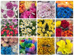 Hoa tươi - Shop hoa Đà Nẵng Dalat Hasfarm