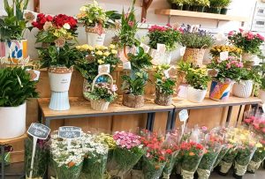 Cửa hàng hoa Gò Vấp