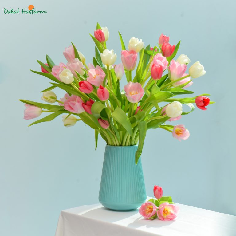 Bình hoa Tulip