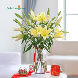Phòng khách là một trong những nơi thích hợp để trưng hoa Lily