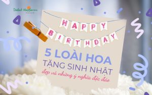 5 Lòai hoa tặng sinh nhật đẹp và những ý nghĩa độc đáo