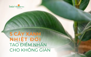 5 cây xanh nhiệt đới tạo điểm nhấn cho không gian