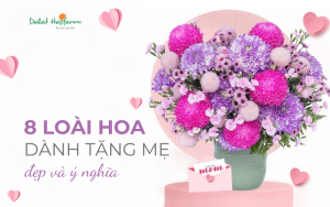 8 Loài hoa đẹp, ý nghĩa để dành tặng Mẹ