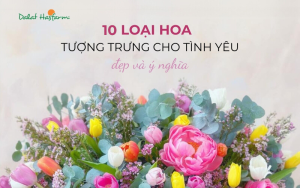10 loai hoa tuong trung cho tinh yeu y nghia
