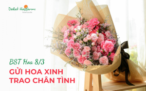 BST Hoa Tặng 8/3