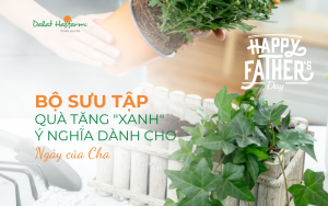 BST quà tặng "xanh" ý nghĩa dành cho Ngày của Cha