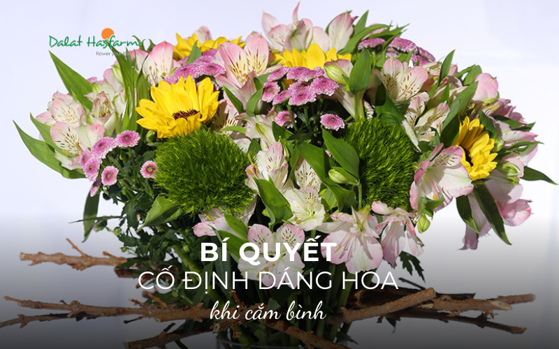 Bí quyết cố định dáng hoa khi cắm bình