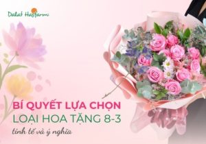 Bí quyết chọn loại hoa tặng 8-3 tinh tế và ý nghĩa