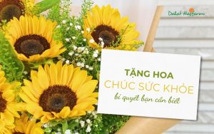 Tặng hoa chúc sức khoẻ: Những điều bạn cần biết và lưu ý