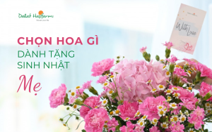 Chọn hoa gì tặng sinh nhật mẹ?