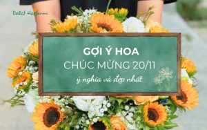 10 Loài hoa ý nghĩa và đẹp nhất chúc mừng 20/11