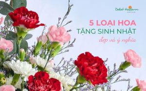 Gợi ý 5 loại hoa tặng sinh nhật đẹp và ý nghĩa