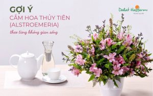 Cắm hoa Thủy Tiên (Lily Peru) sao cho đẹp và phù hợp, những gợi ý sau đây của Dalat Hasfarm sẽ hướng dẫn cho bạn cách cắm hoa Thủy Tiên phù hợp nhất theo từng không gian sống trong gia đình.