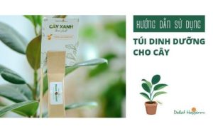 Hướng dẫn sử dụng Túi dinh dưỡng Power4Plant cho cây