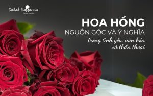 Hoa Hồng Nguồn gốc, ý nghĩa trong tình yêu, văn hoá và thần thoại