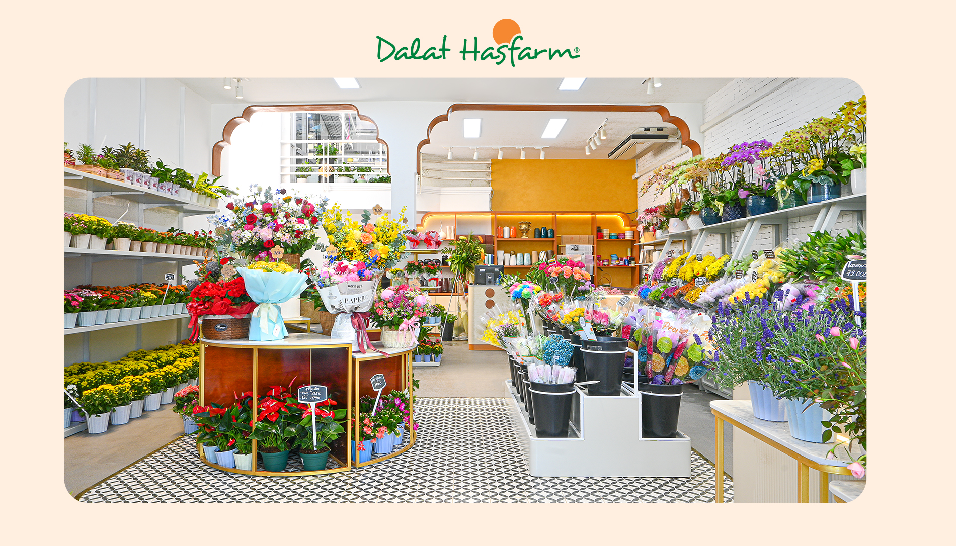 Shop hoa tươi Dalat Hasfarm Bình Dương