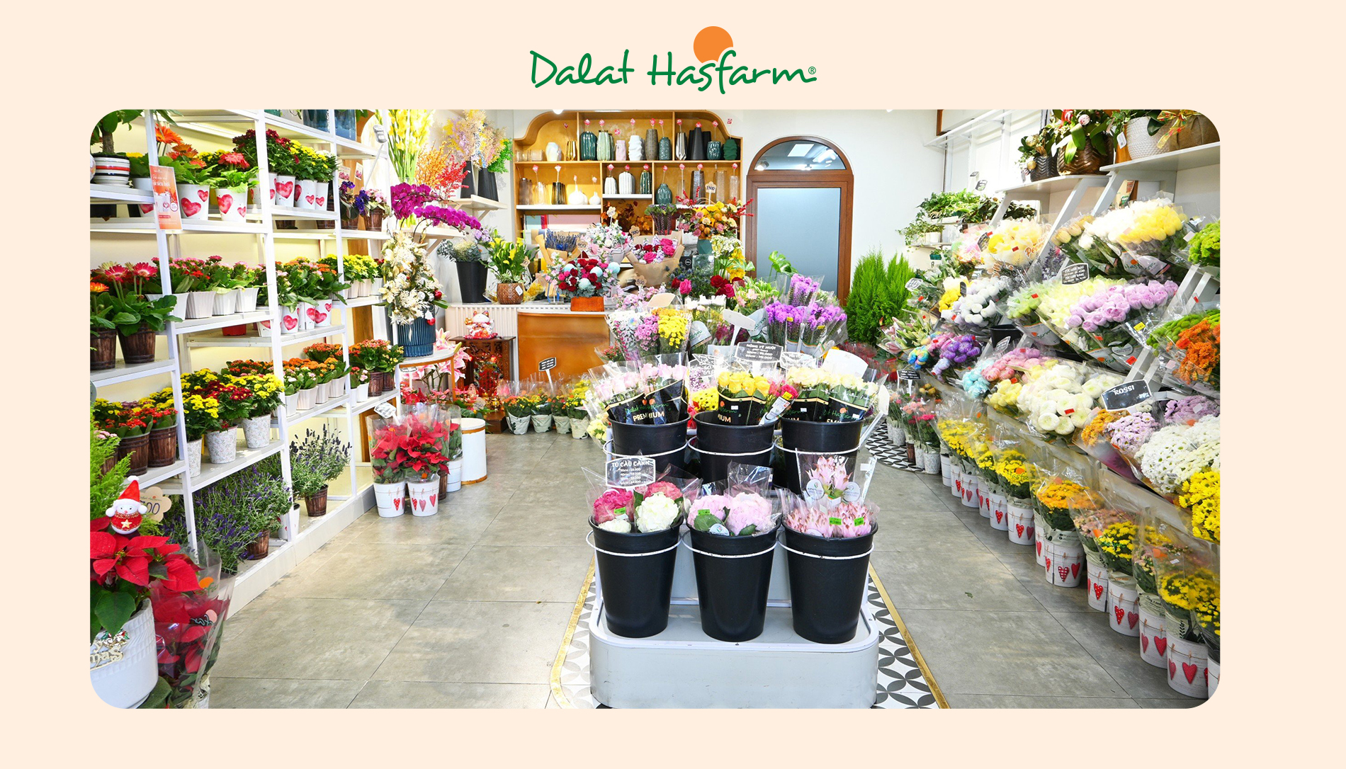 Shop hoa tươi Dalat Hasfarm Bình Tân