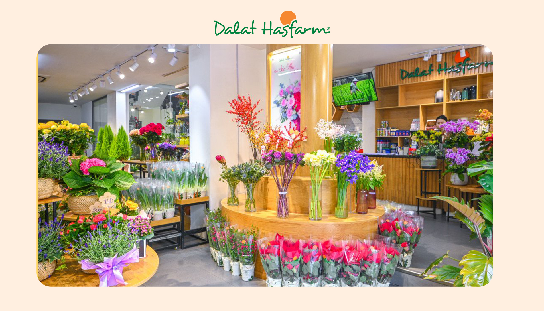 Shop hoa tươi Dalat Hasfarm Quận 2