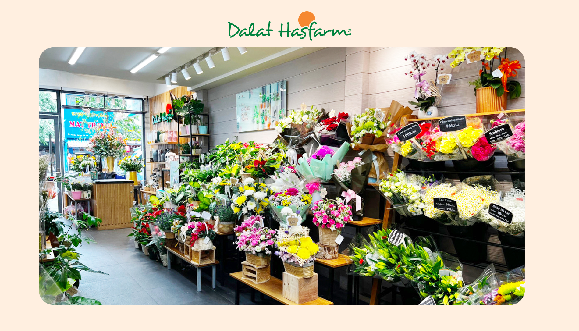 Shop hoa tươi Dalat Hasfarm Quận 6