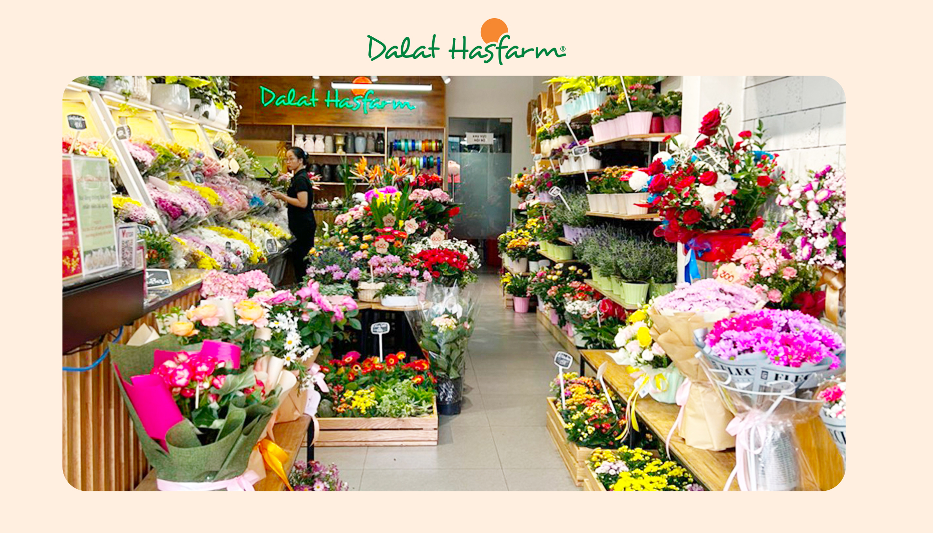 Shop hoa tươi Dalat Hasfarm Đà Nẵng