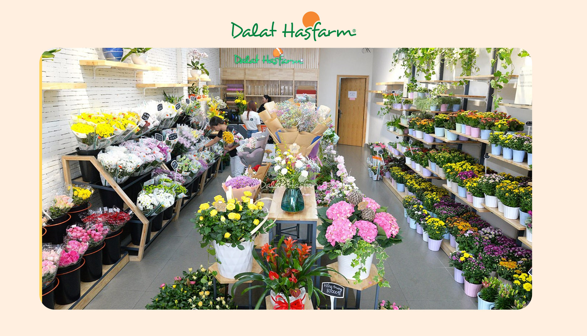 Shop hoa tươi Dalat Hasfarm Gò Vấp